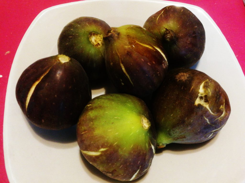 figues du jardin figues du jardin