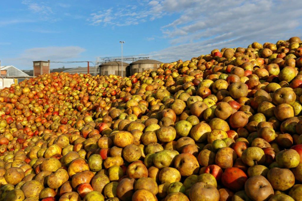 cambremer stock de pommes cambremer stock de pommes