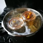 conserves de prunes du jardin
