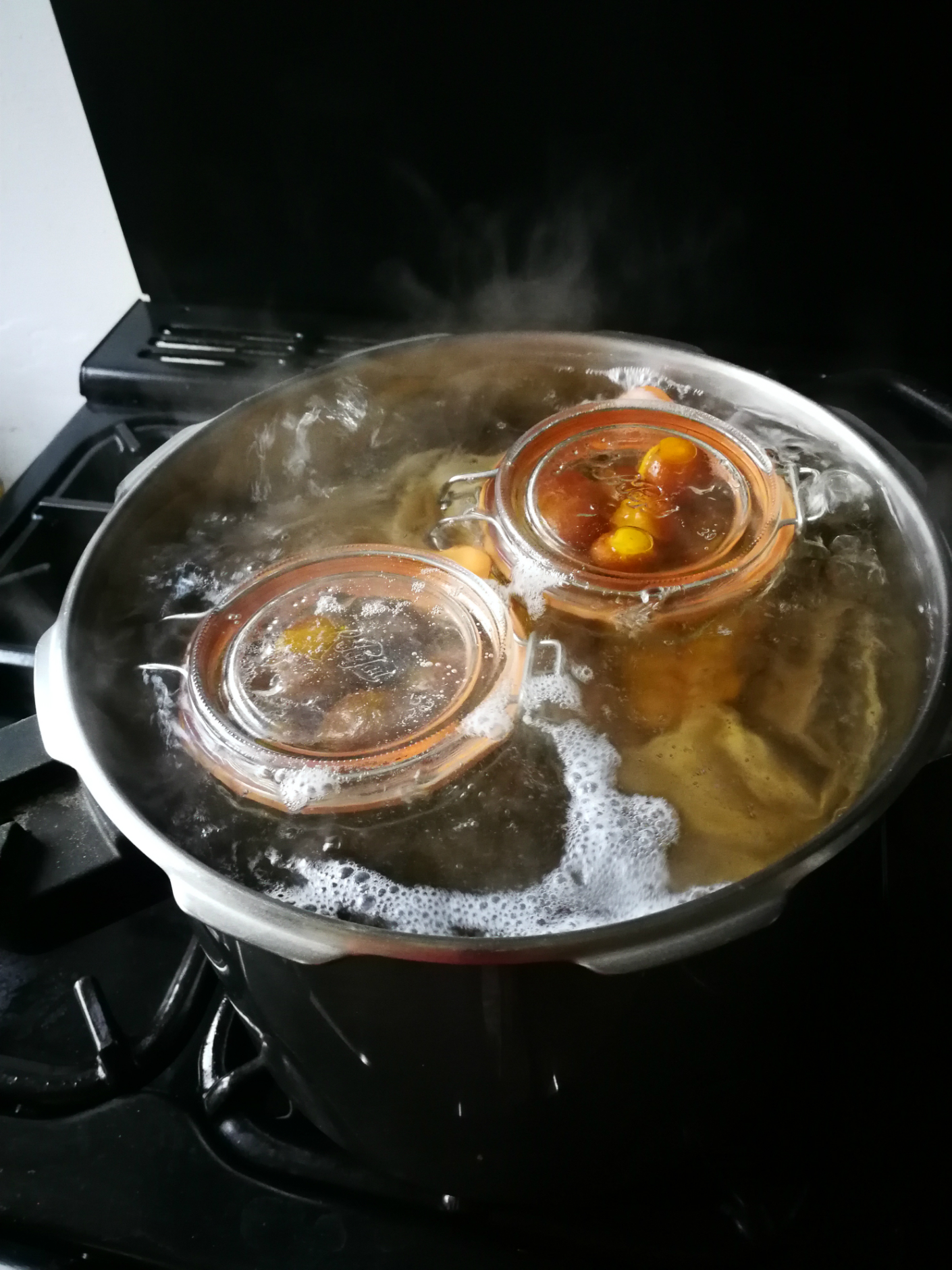 conserves de prunes du jardin
