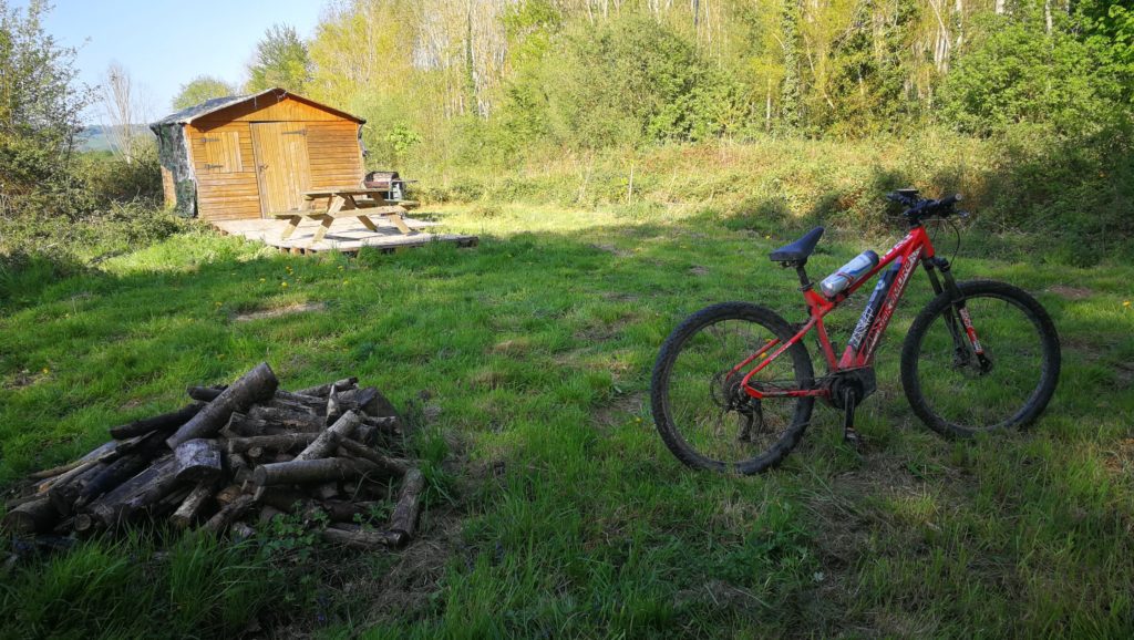 tour de forêt