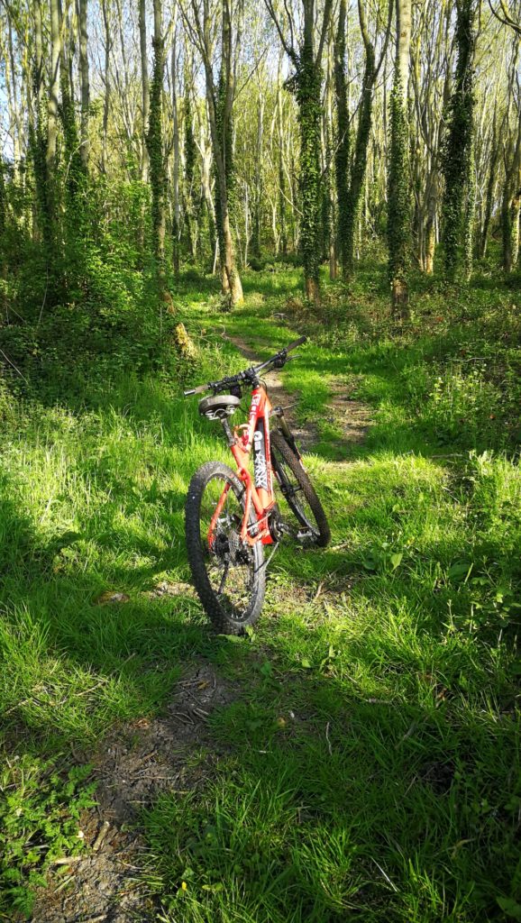 tour de forêt
