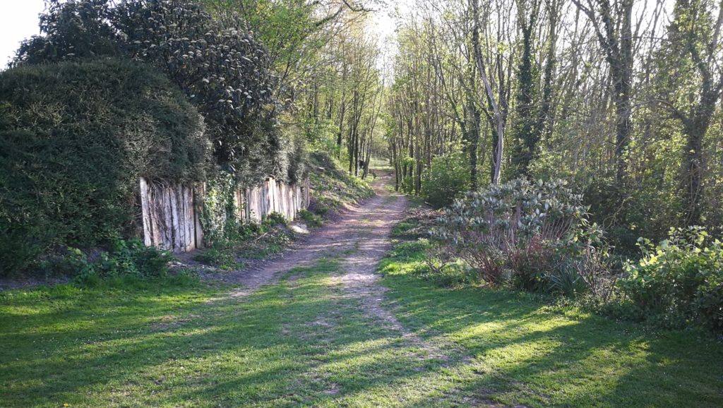 tour de forêt