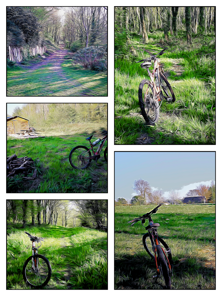 randonnée vélo dans le bois