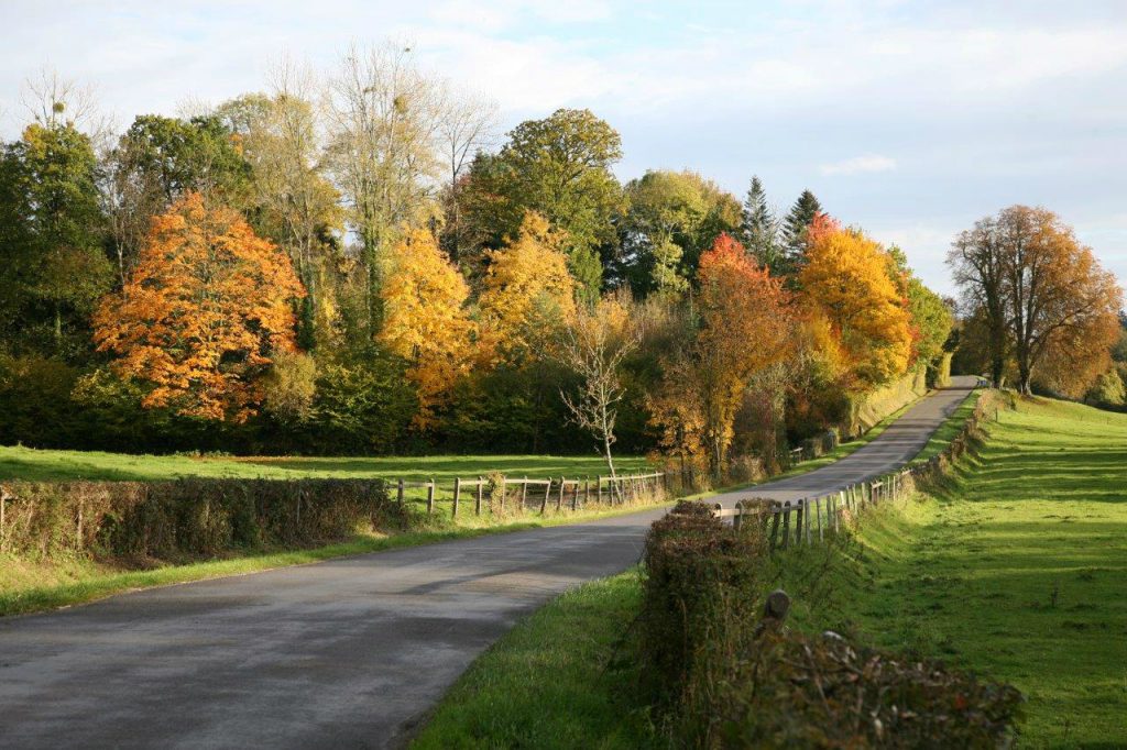 paysage d'automne du pays de cambremer