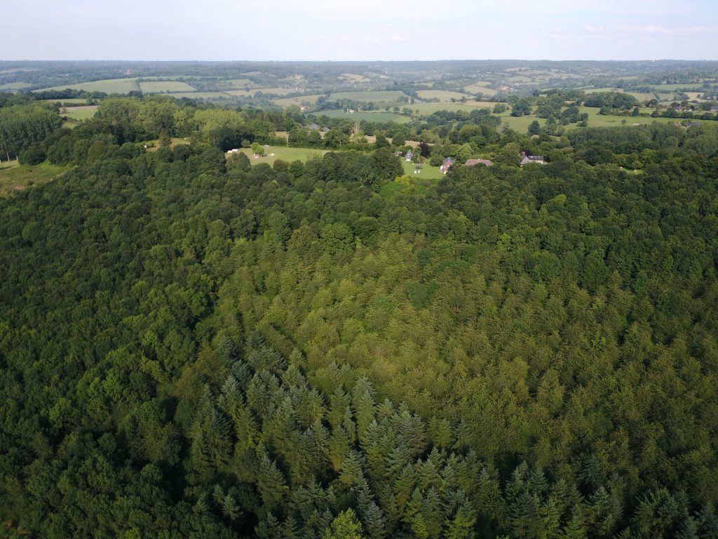 bois du manoir les marronniers