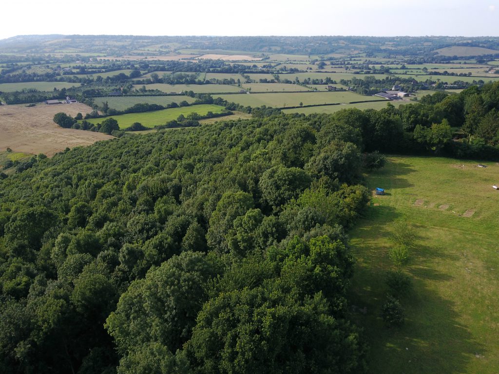 bois du manoir les marronniers