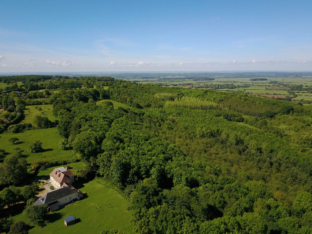 bois du manoir les marronniers